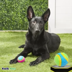 Spot Sensory Ball Dog Toy Assorted Small 2.5-in