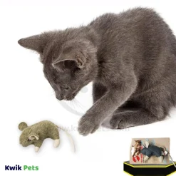 Spot Wool Mouse Willie Cat Toy with Catnip Assorted 3.5-in