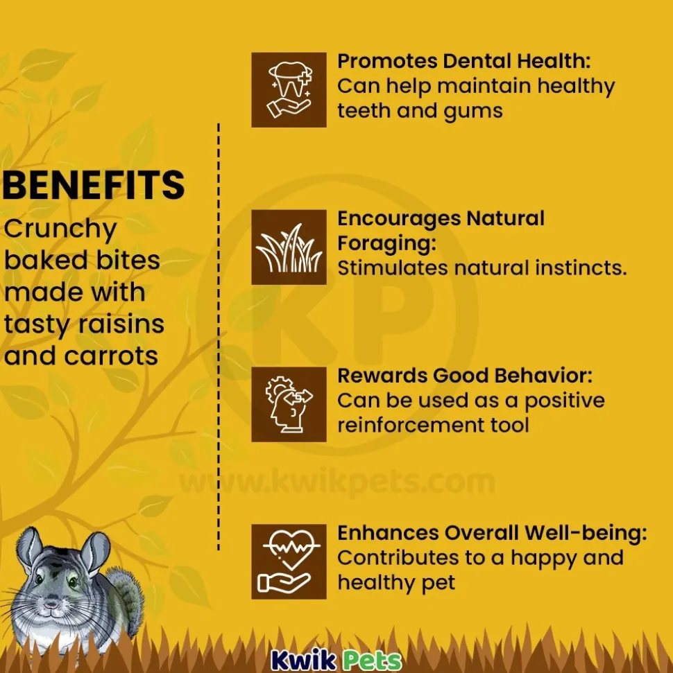 Tiny Friends Farm Charlie Chinchilla Cookies Baked Treats with Raisin & Carrot 4.2-oz