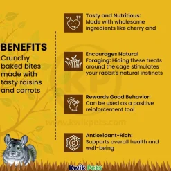 Tiny Friends Farm Russel Rabbit Fruities Baked Treats with Cherry & Apricot 4.2-oz