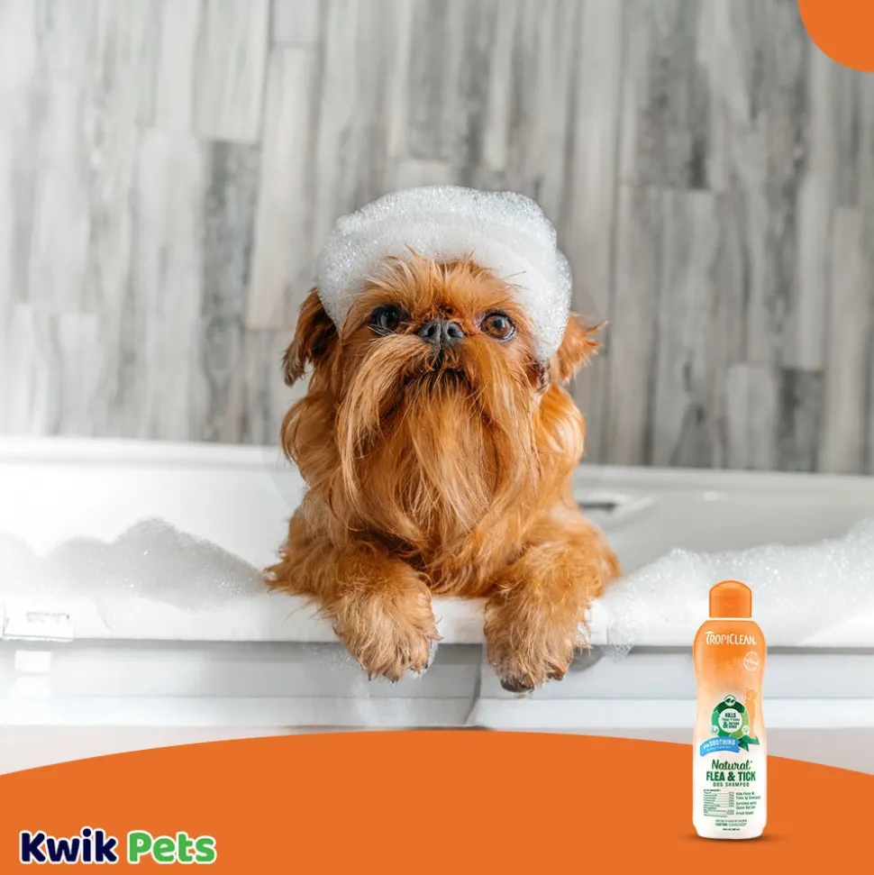 TropiClean Natural Flea & Tick Soothing Shampoo for Dogs 20-oz