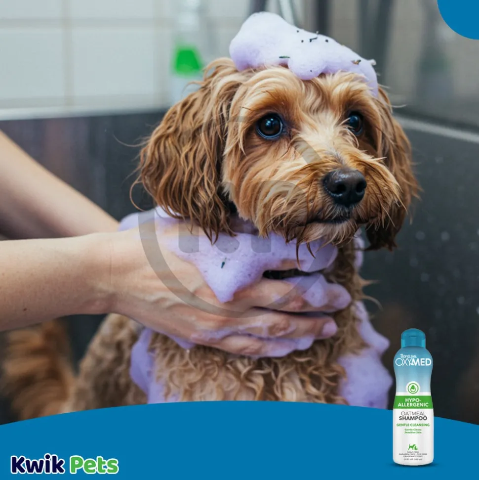 TropiClean OxyMed Hypoallergenic Oatmeal Shampoo for Dogs & Cats 20-oz