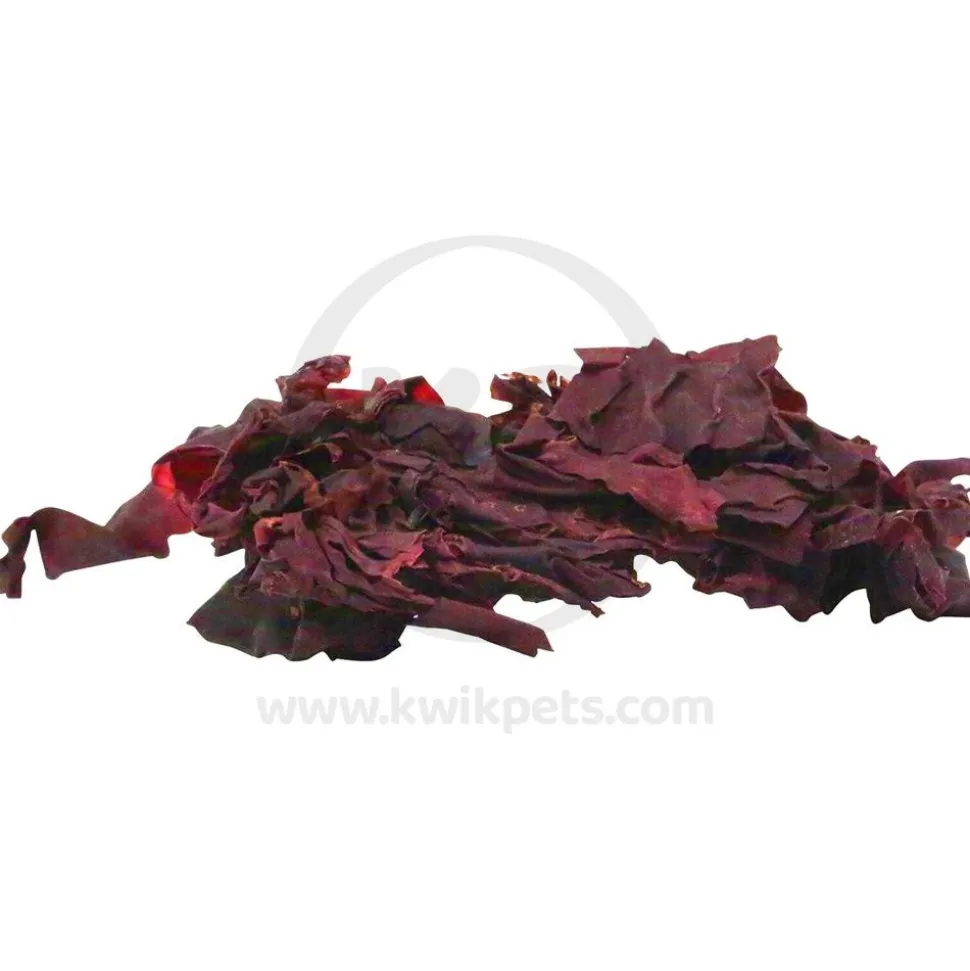 Two Little Fishies Julian Sprung's Seaveggies Red Seaweed Fish Food 1-oz
