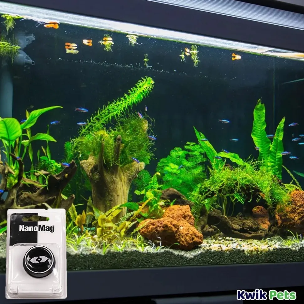 Two Little Fishies NanoMag Window Cleaning Magnet for Aquariums