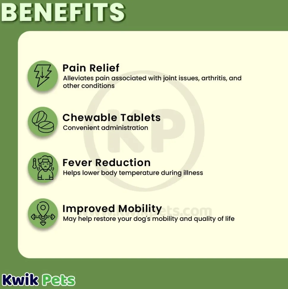 Vetality Canine Aspirin Chewable Tablets 300mg for Large to XL Dogs 120 Count