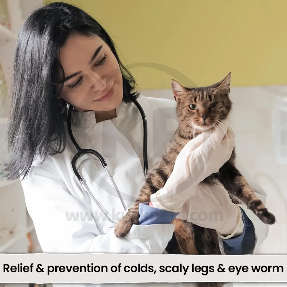 VetRx Cat & Kitten Remedy Respiratory Support 2-oz