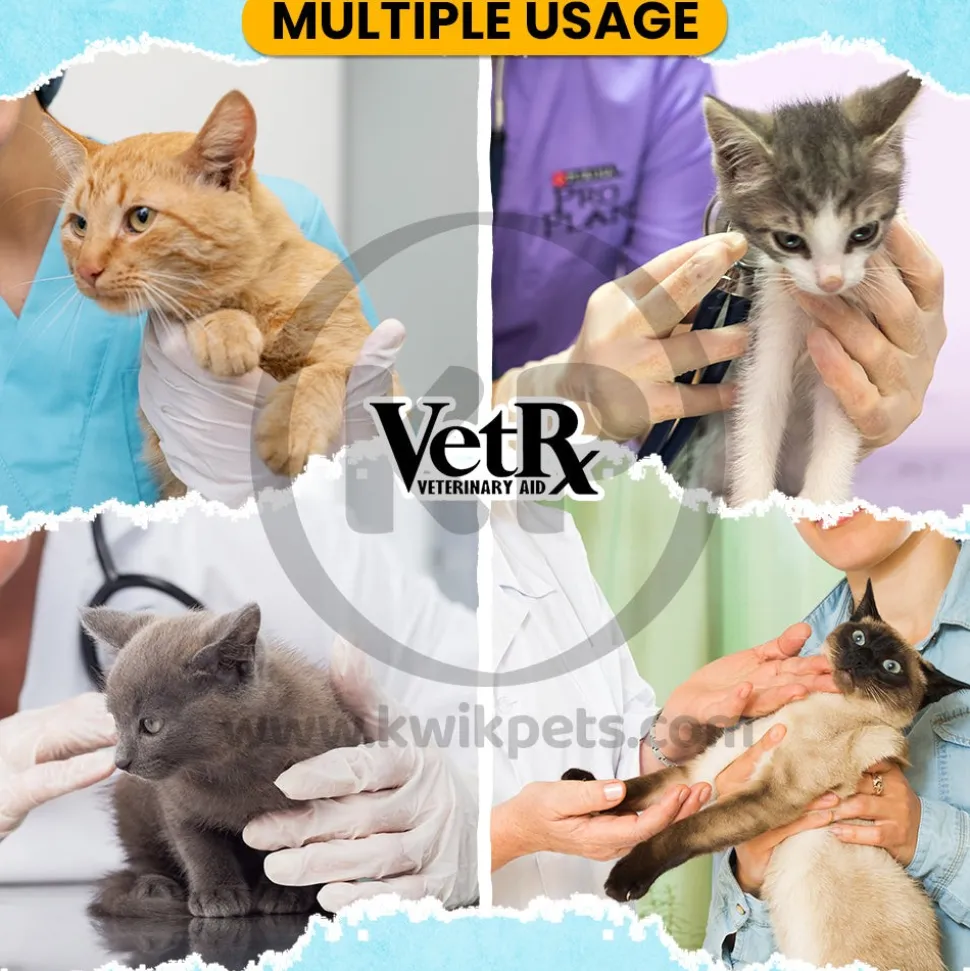 VetRx Cat & Kitten Remedy Respiratory Support Solution 2-oz
