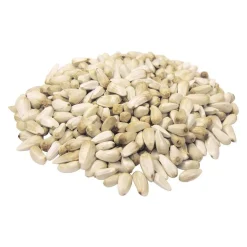 Volkman Seed Company Premium Single Seed Safflower Bird Food 4-lb