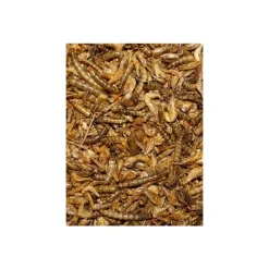 Volkman Seed Company Shrimp & Mealworm Medley Chicken Treat 1.25-lb