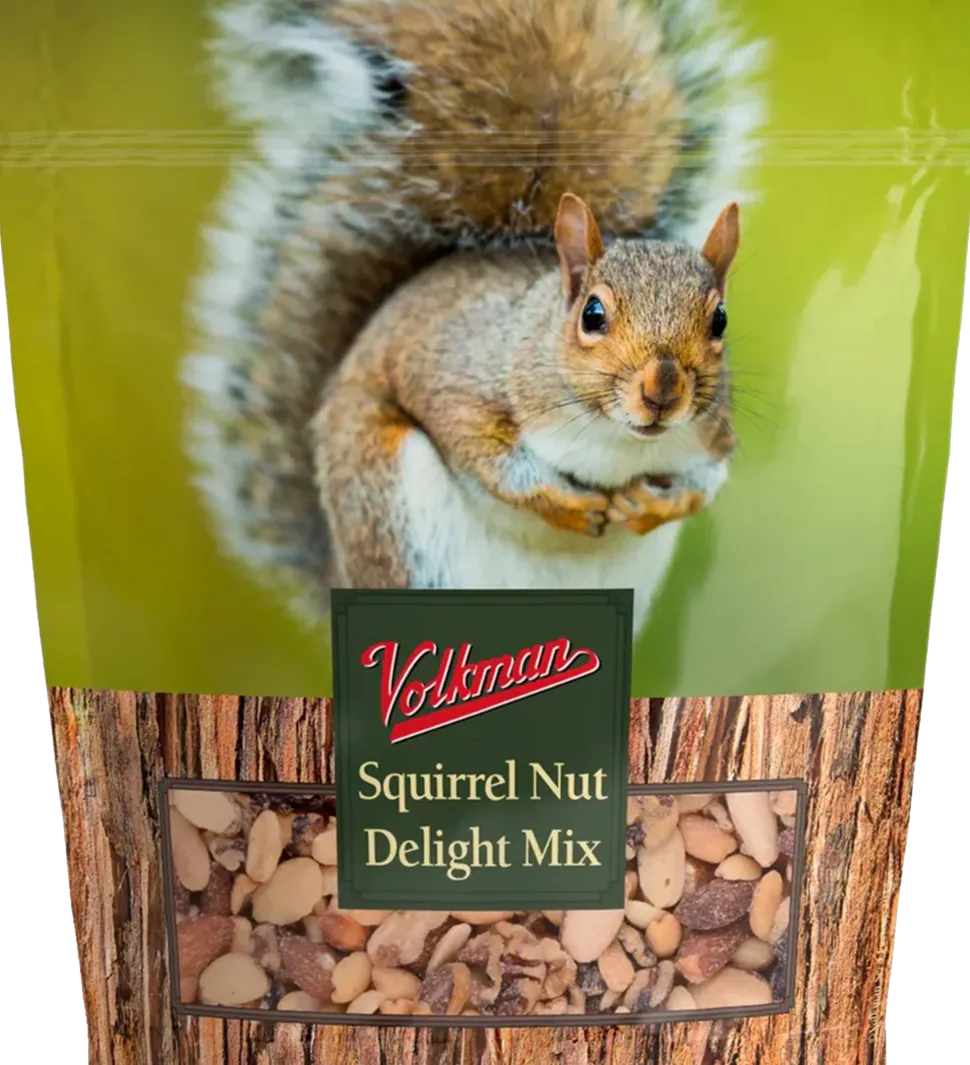 Volkman Seed Company Small Animal Squirrel Delight All Nut Mix Dry Food 4-lb