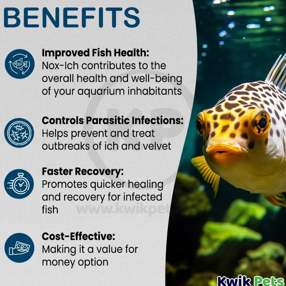 Weco Products Nox-Ich Ich Control Treatment for Fish 4-oz