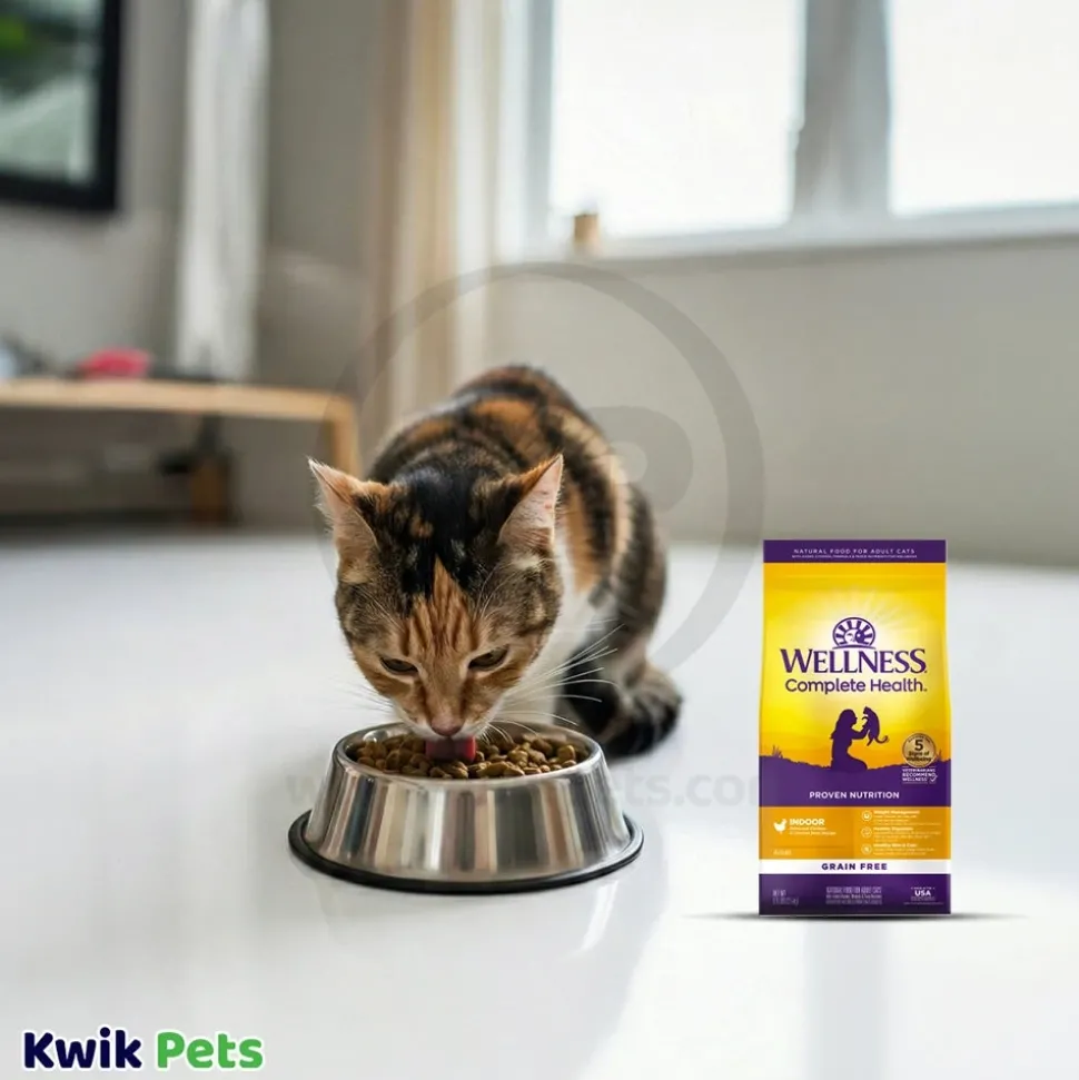 Wellness Complete Health Grain-Free Indoor Adult Dry Cat Food Deboned Chicken & Chicken Meal Recipe 5.5-lb