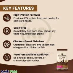 Wellness CORE Grain-Free Adult Dry Cat Food Turkey, Turkey Meal & Duck Recipe 5-lb