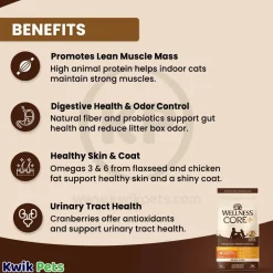 Wellness CORE+ Grain-Free Indoor Adult Dry Cat Food Deboned Chicken, Turkey & Chicken Meal Recipe 5-lb