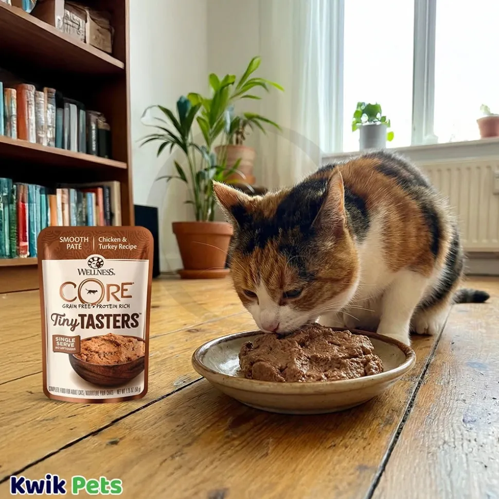 Wellness CORE Tiny Tasters Grain-Free Pate Wet Cat Food Chicken & Turkey 1.75-oz
