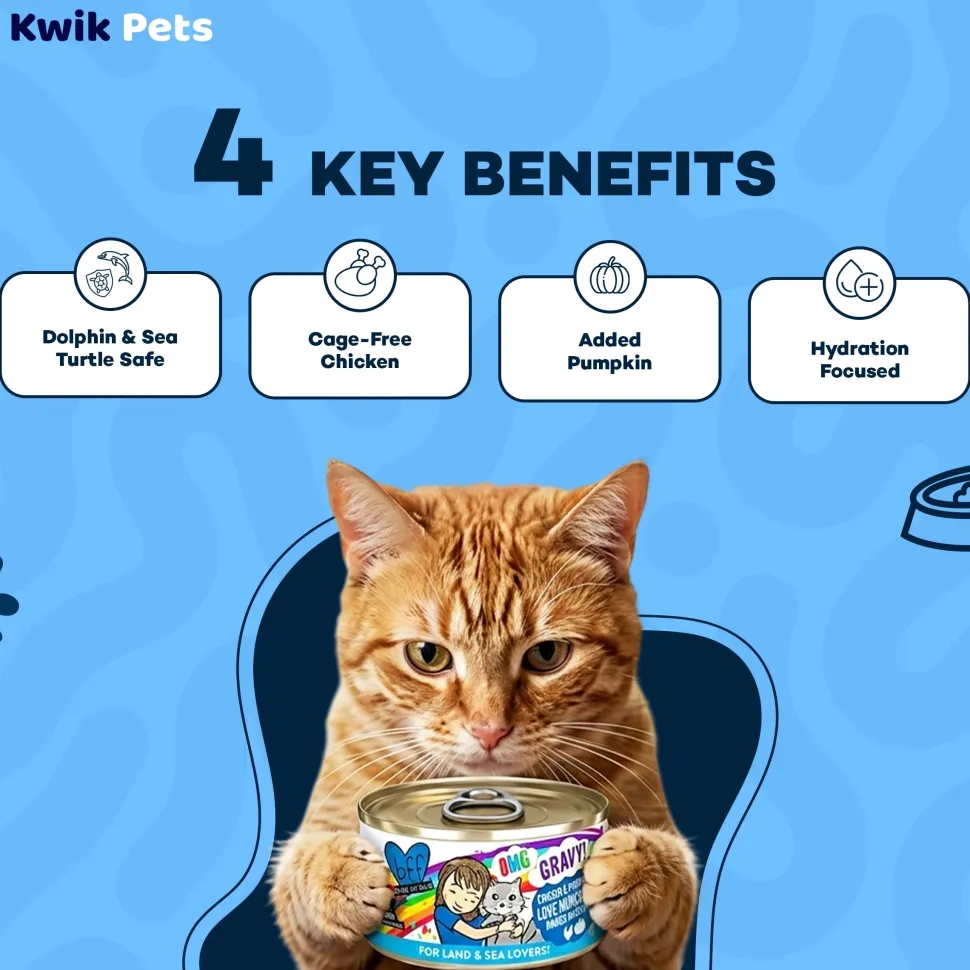Weruva B.F.F. OMG Chicken & Pumpkin Love Munchkin! Dinner in Gravy Wet Cat Food 2.8-oz