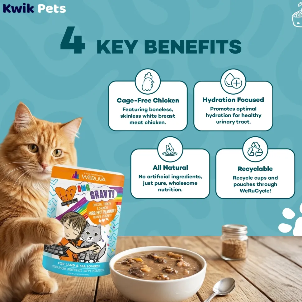 Weruva B.F.F. OMG Chicken, Turkey & Salmon Purr-Fect Plannin'! Dinner in Gravy Wet Cat Food Pouches 2.8-oz
