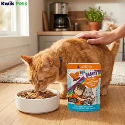 Weruva B.F.F. OMG Chicken, Turkey & Salmon Purr-Fect Plannin'! Dinner in Gravy Wet Cat Food Pouches 2.8-oz