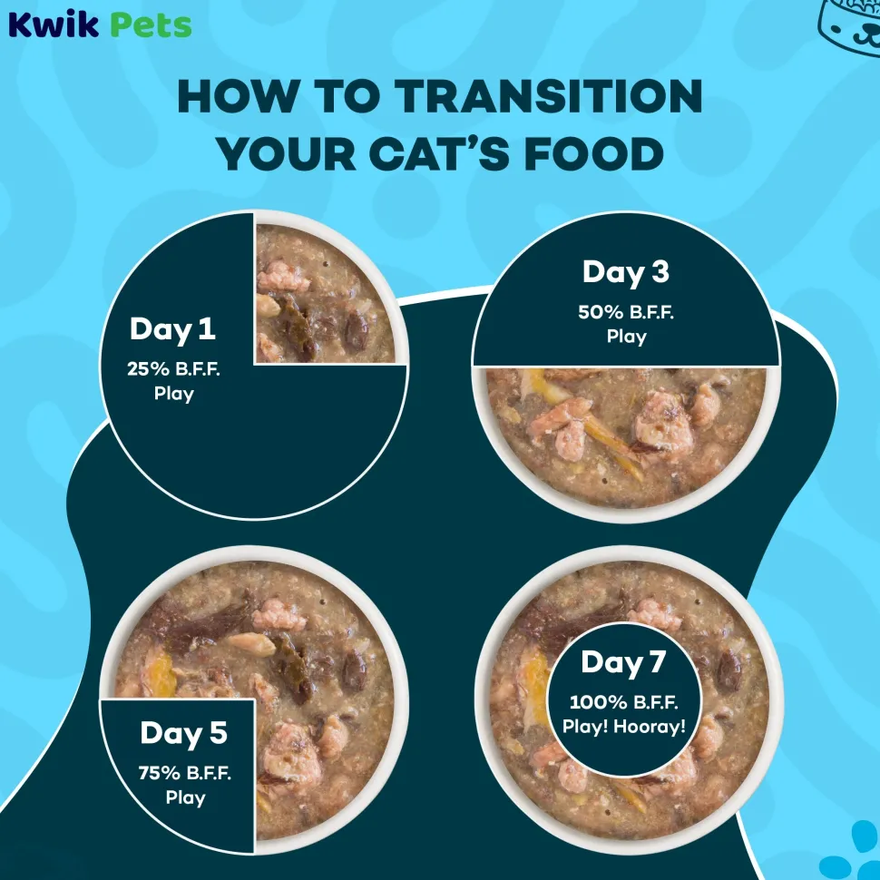 Weruva B.F.F. OMG Duck & Tuna Lots-O-Luck! Dinner in Gravy Wet Cat Food 2.8-oz