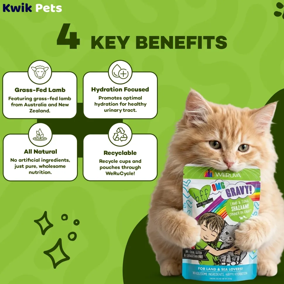 Weruva B.F.F. OMG Lamb & Tuna Shazaam! Dinner in Gravy Wet Cat Food Pouches 2.8-oz