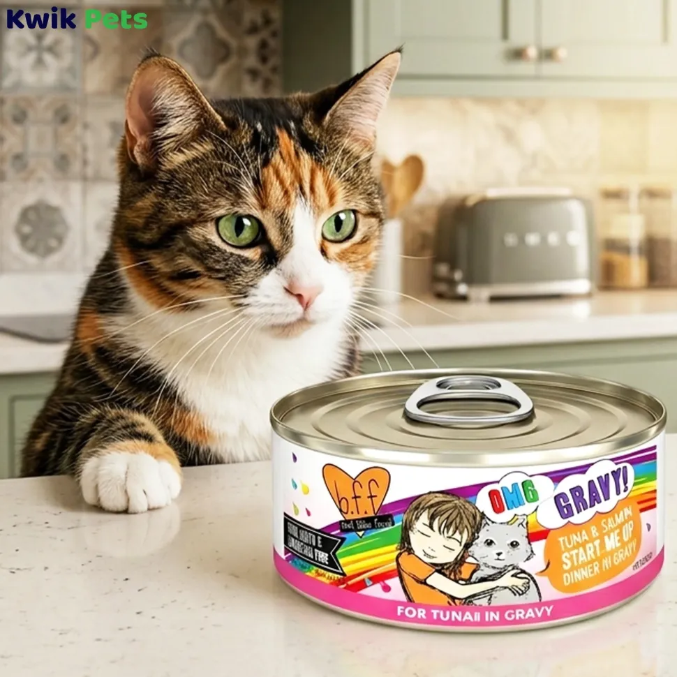 Weruva B.F.F. OMG Tuna & Salmon Start Me Up Dinner in Gravy Wet Cat Food 5.5-oz