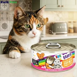 Weruva B.F.F. OMG Tuna & Salmon Start Me Up Dinner in Gravy Wet Cat Food 2.8-oz
