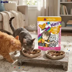 Weruva B.F.F. OMG Tuna & Turkey Tickles Dinner in Gravy Wet Cat Food Pouches 3-oz