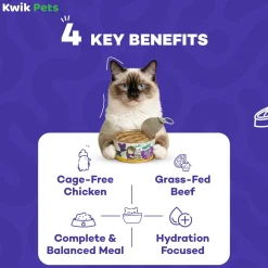 Weruva B.F.F. PLAY Paté Chicken & Beef Best Buds Dinner in a Hydrating Purée Wet Cat Food 2.8-oz