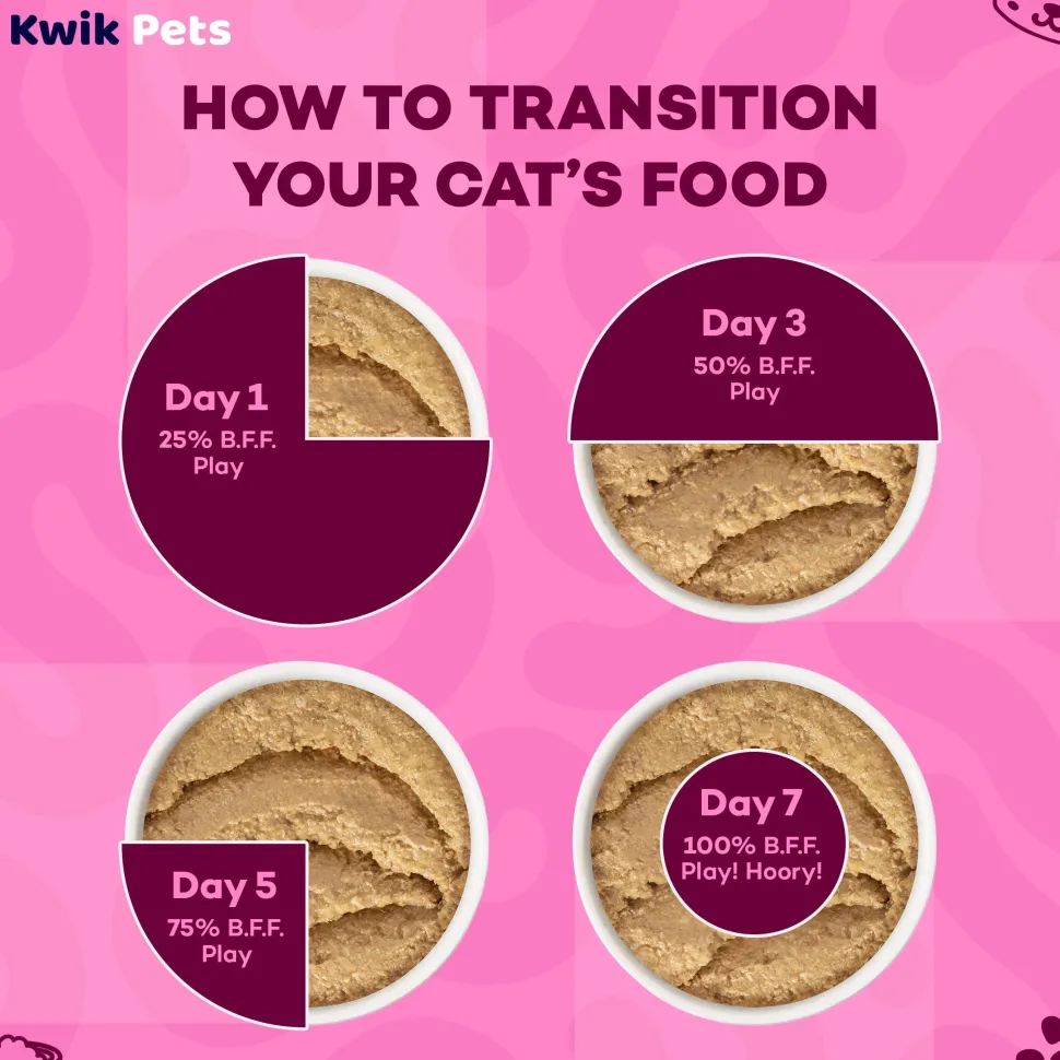 Weruva B.F.F. PLAY Paté Chicken, Duck & Turkey Take A Chance Dinner in a Hydrating Purée Wet Cat Food 2.8-oz