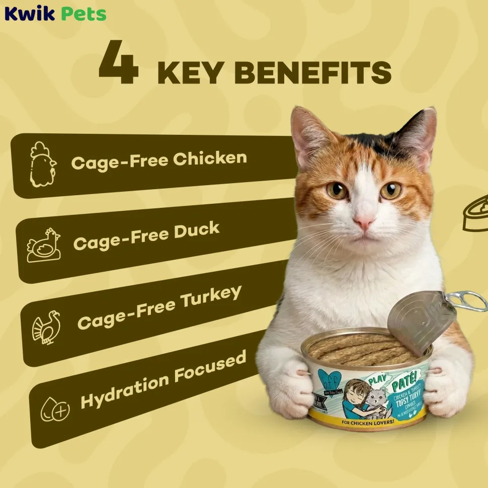 Weruva B.F.F. PLAY Paté Chicken & Turkey Topsy Turvy Dinner in a Hydrating Purée Wet Cat Food 2.8-oz