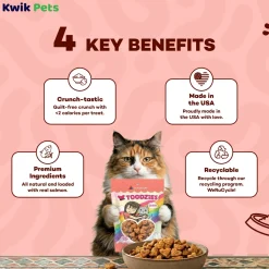 Weruva B.F.F. Toodzies Crunchy Salmon Cat Treats 2-oz