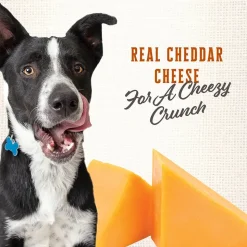 Wholesomes Gourmet Rewards Cheezy Bites Biscuits Oven-Baked Dog Treats Cheddar Cheese 3-lb