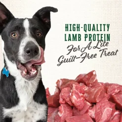 Wholesomes Gourmet Rewards Lite Bites Biscuits Oven-Baked Dog Treats Lamb 3-lb