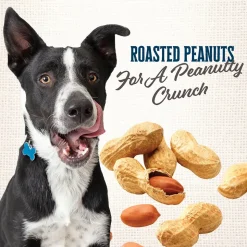 Wholesomes Gourmet Rewards Peanutty Bites Biscuits Oven-Baked Dog Treats Peanut Butter 3-lb