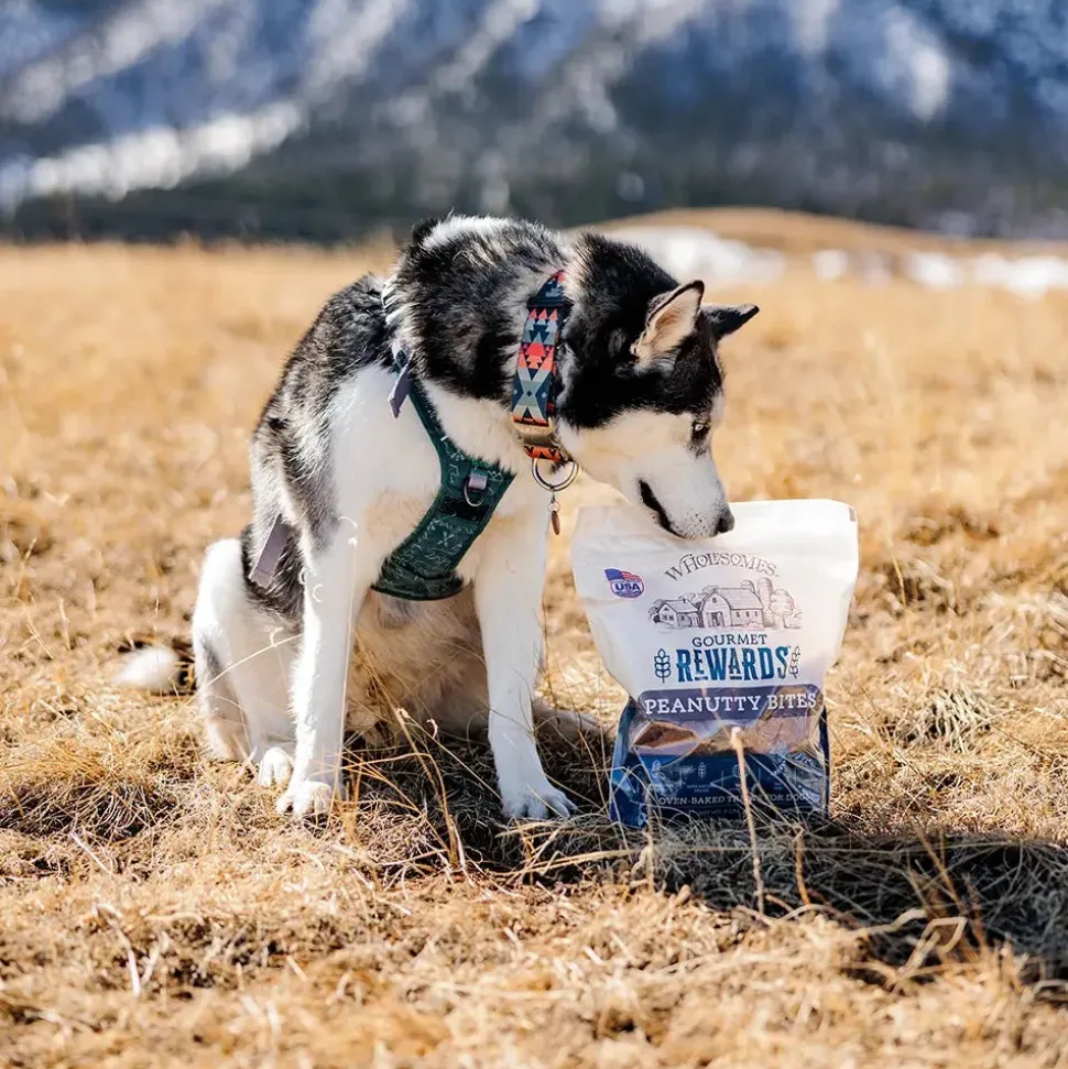 Wholesomes Gourmet Rewards Peanutty Bites Biscuits Oven-Baked Dog Treats Peanut Butter 3-lb
