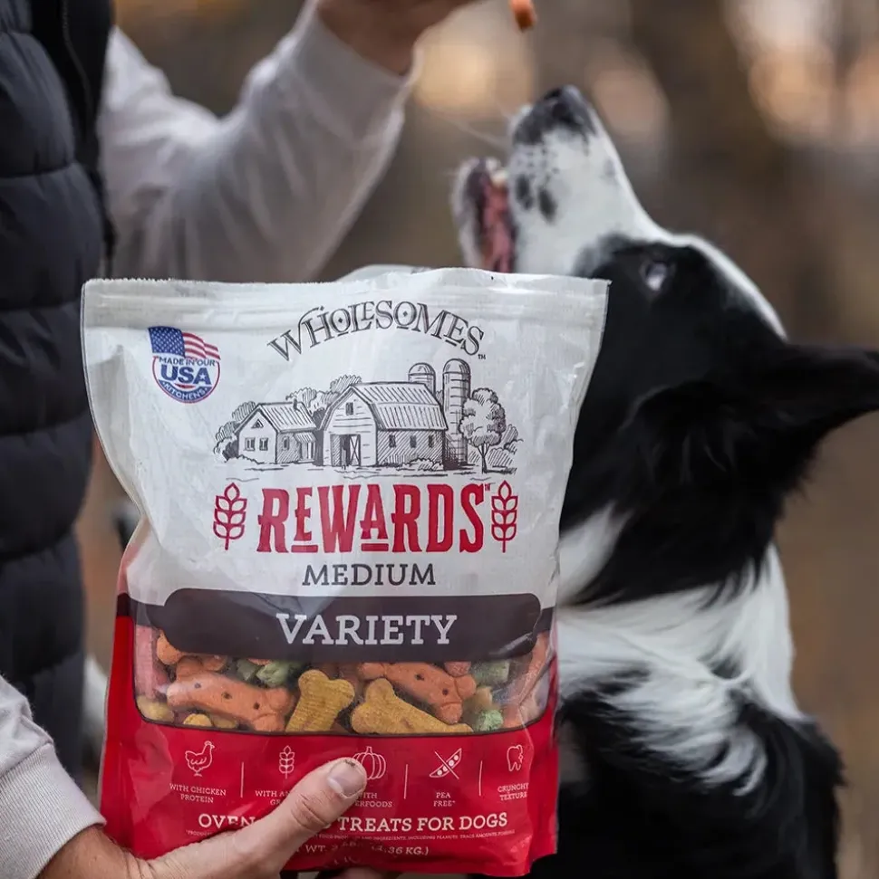 Wholesomes Rewards Medium Variety Biscuit Oven-Baked Dog Treats Chicken 3-lb