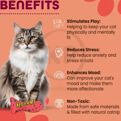 Yeowww! Stinkies Sardines Catnip Cat Toy Red & Blue 3-in