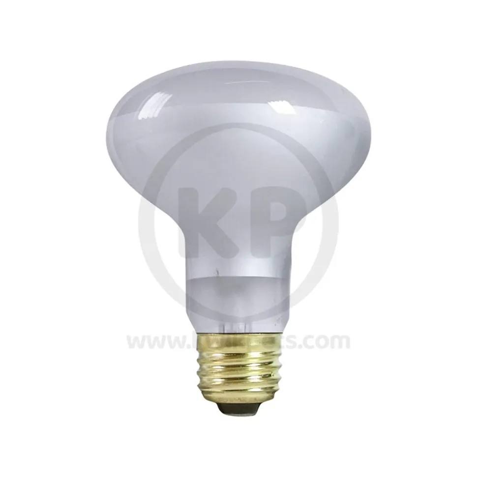 Zilla Day White Light Incandescent Spot Bulb 75W