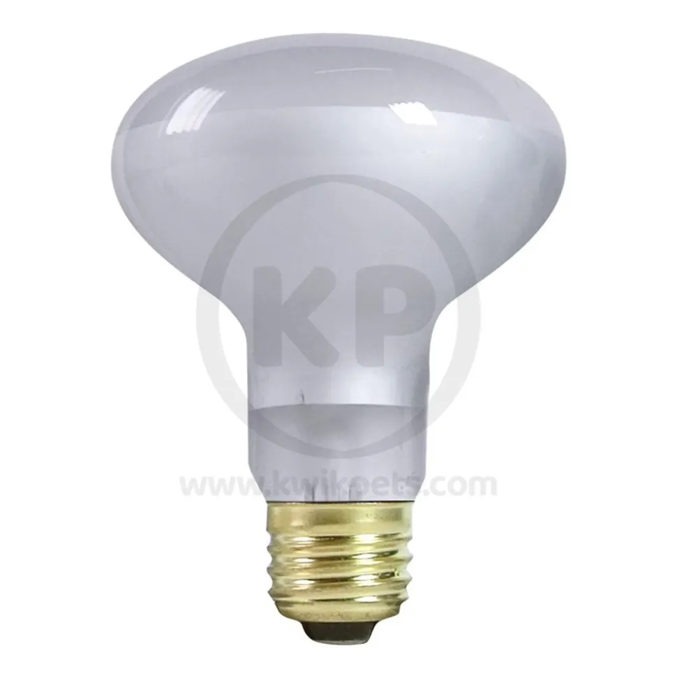 Zilla Day White Light Incandescent Spot Bulb 50W