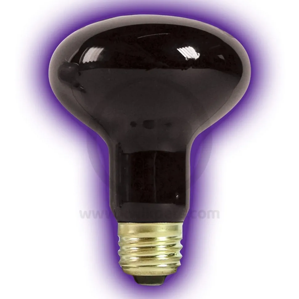 Zilla Night Black Heat Incandescent Spot Bulb 75W
