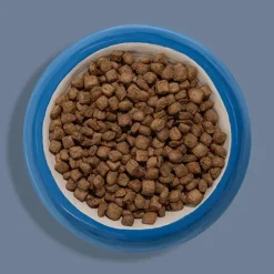 Ziwi Peak Original Series Air Dried Dog Food Venison Recipe 2.2-lb