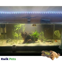 Zoo Med Aquarium Mopani Wood Brown Small 6-8 in