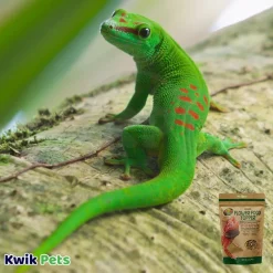 Zoo Med Lizard Flower Food Topper 1.4-oz