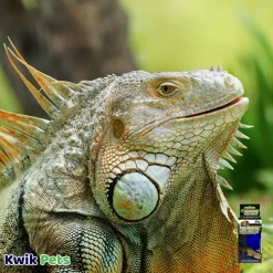Zoo Med Moonlite Reptile Bulb Deep Blue 40W