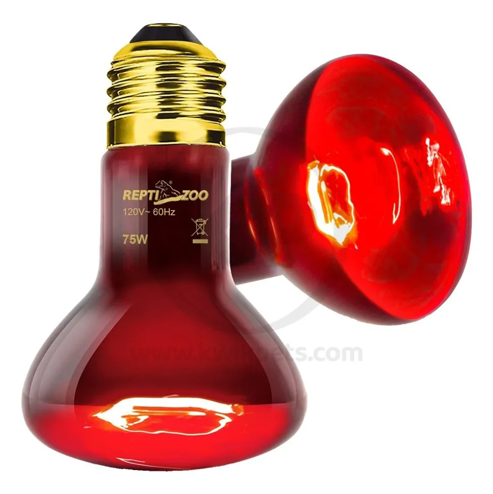 Zoo Med Nocturnal Infrared Heat Lamp 100W