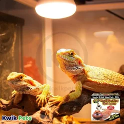 Zoo Med Repti Basking Spot Lamp 50W 2 Count