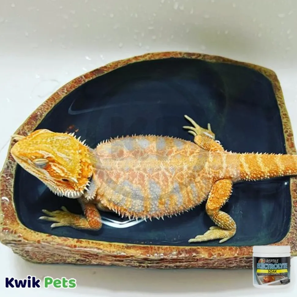 Zoo Med Reptile Electrolyte Soak Supplement 8-oz