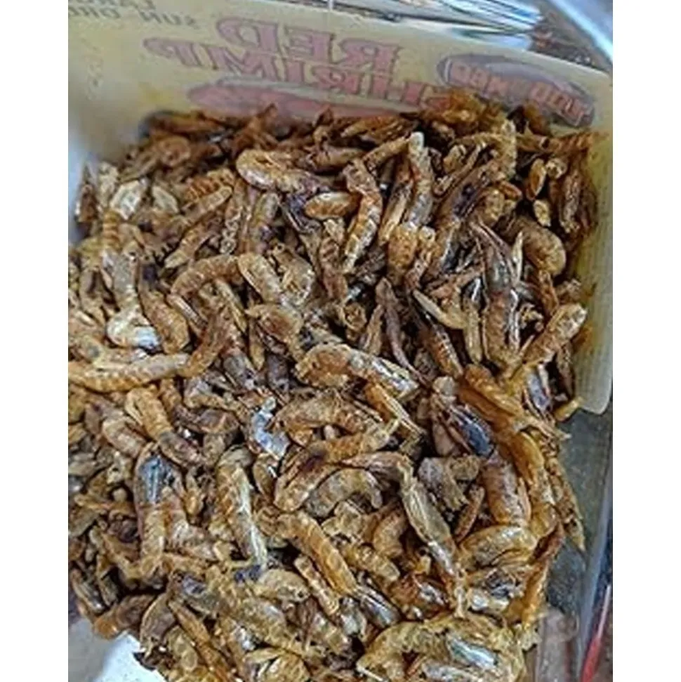 Zoo Med Sun-Dried Large Red Shrimp Reptile Food 0.5-oz
